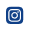 in-icon 